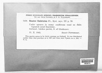Image Associated With the Occurence